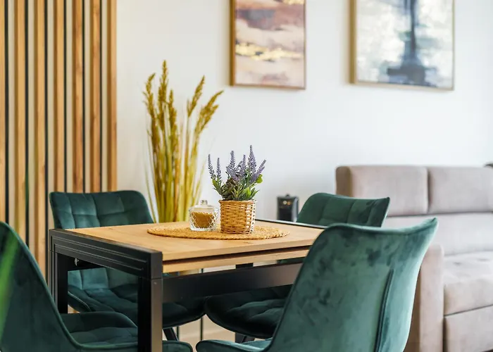 Onyx Przy Plazy - Darmowy Parking 公寓 辛安诺泽蒂